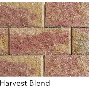 REGAL STONE PRO LARGE HARV. BLEND