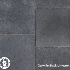 BLACK LIMESTONE PAVING PAT 1 (216 sq ft)