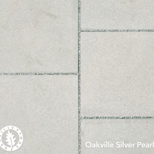 SILVER PEARL BULLNOSE COPING 12"X48"X2"