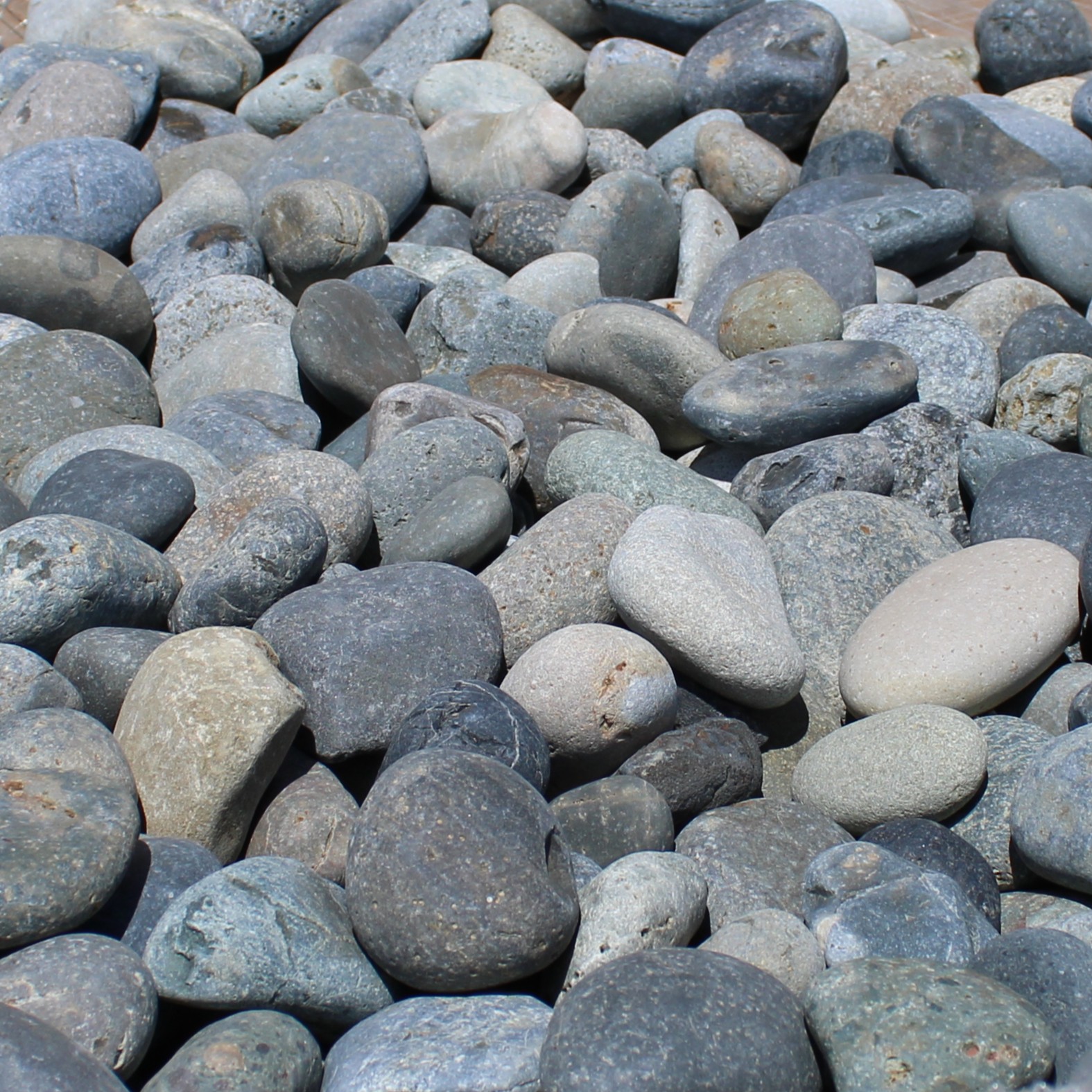 MEXICAN BEACH PEBBLES-BLK 1-2 INCH