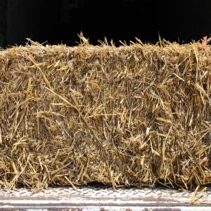 WHEAT STRAW/BALE
