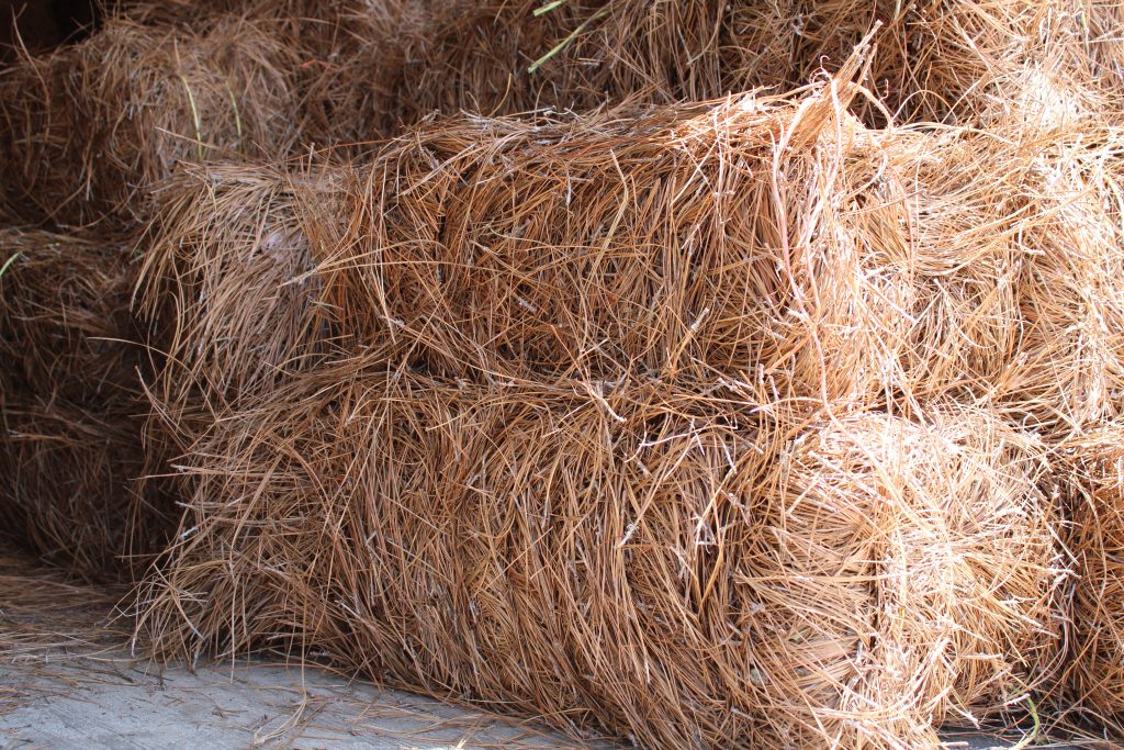 PREMIUM LONG-NEEDLE PINE STRAW/ROLL