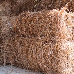 PREMIUM LONG-NEEDLE PINE STRAW/ROLL